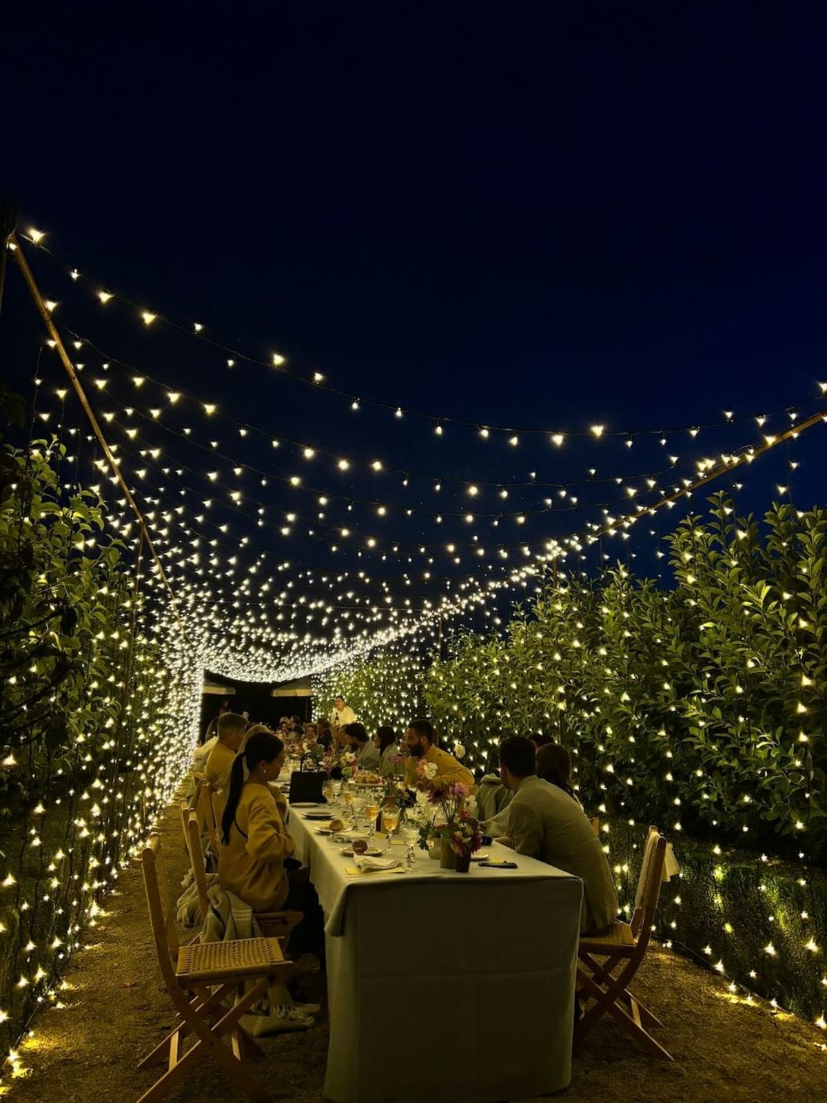Magical fairy light tunnel creating a romantic entrance for weddings and events