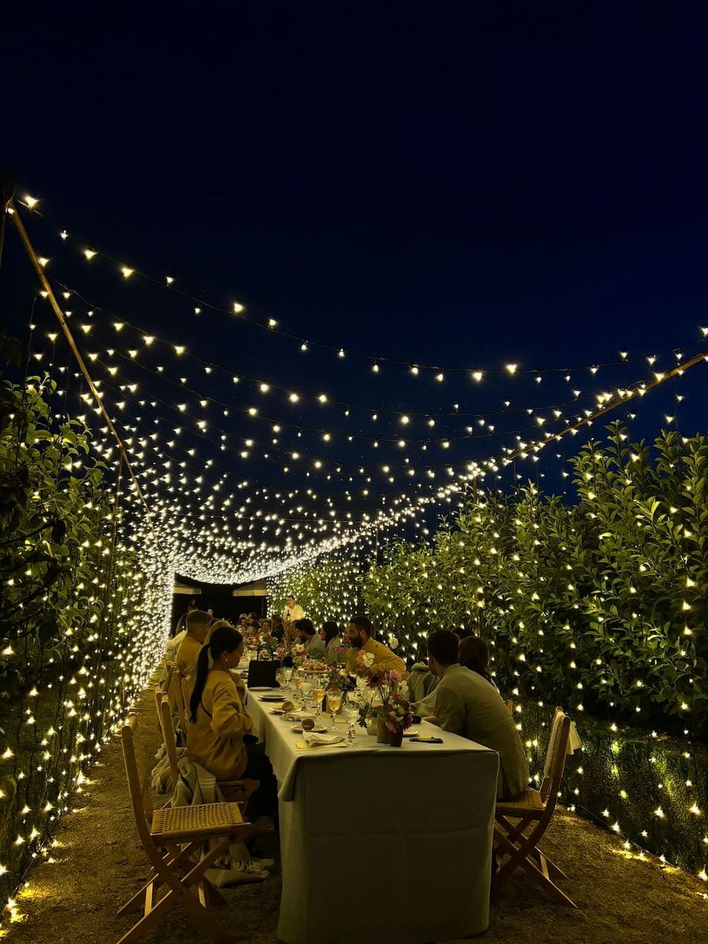 Fairy light tunnel creating a spectacular entrance for an evening party or wedding