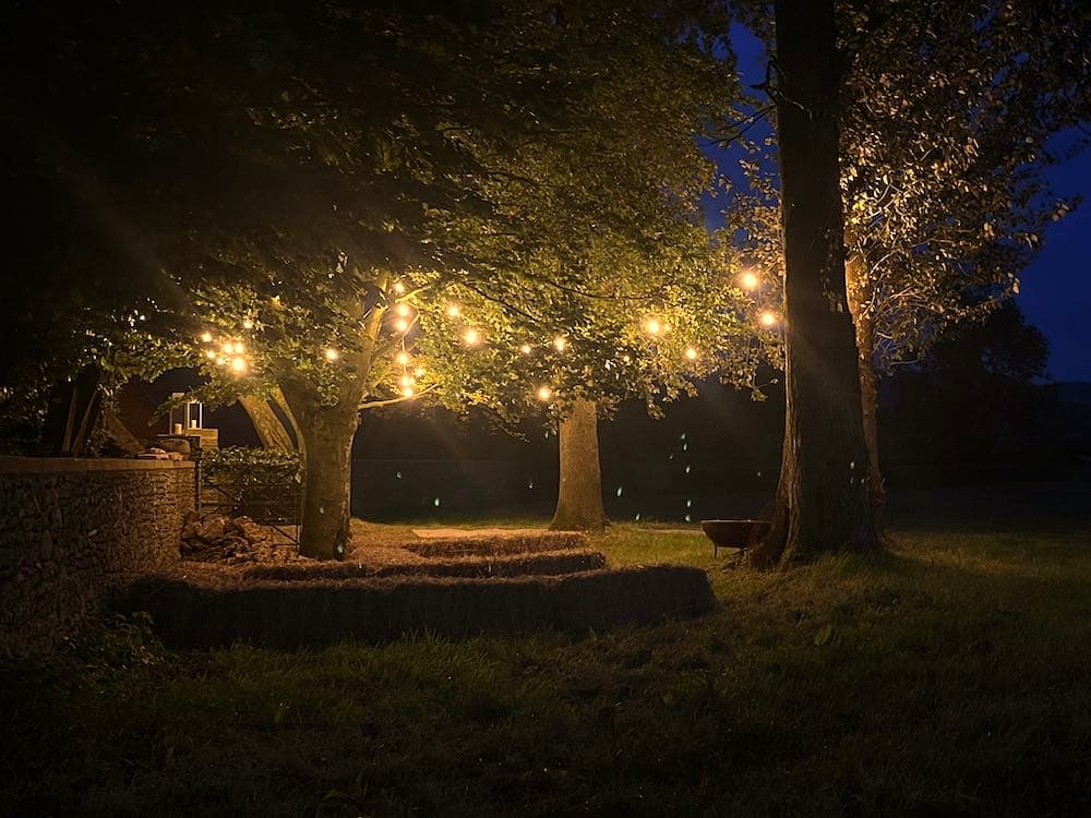 Edison vintage festoon lighting strung outdoors on a warm summer night for an alfresco party