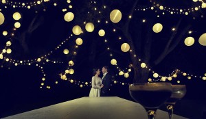 Festoon lighting rigged on a large pine tree at night wth a bride and groom in the centre and two cocktail glasses in the foreground.