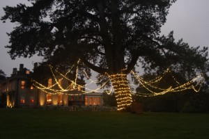 A Large pinte tree with a fairy-light canopy hanging from the branches with Babingotn Hosue Hotel in the background.